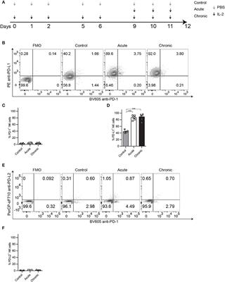 Indirect Impact of PD-1/PD-L1 Blockade on a Murine Model of NK Cell Exhaustion